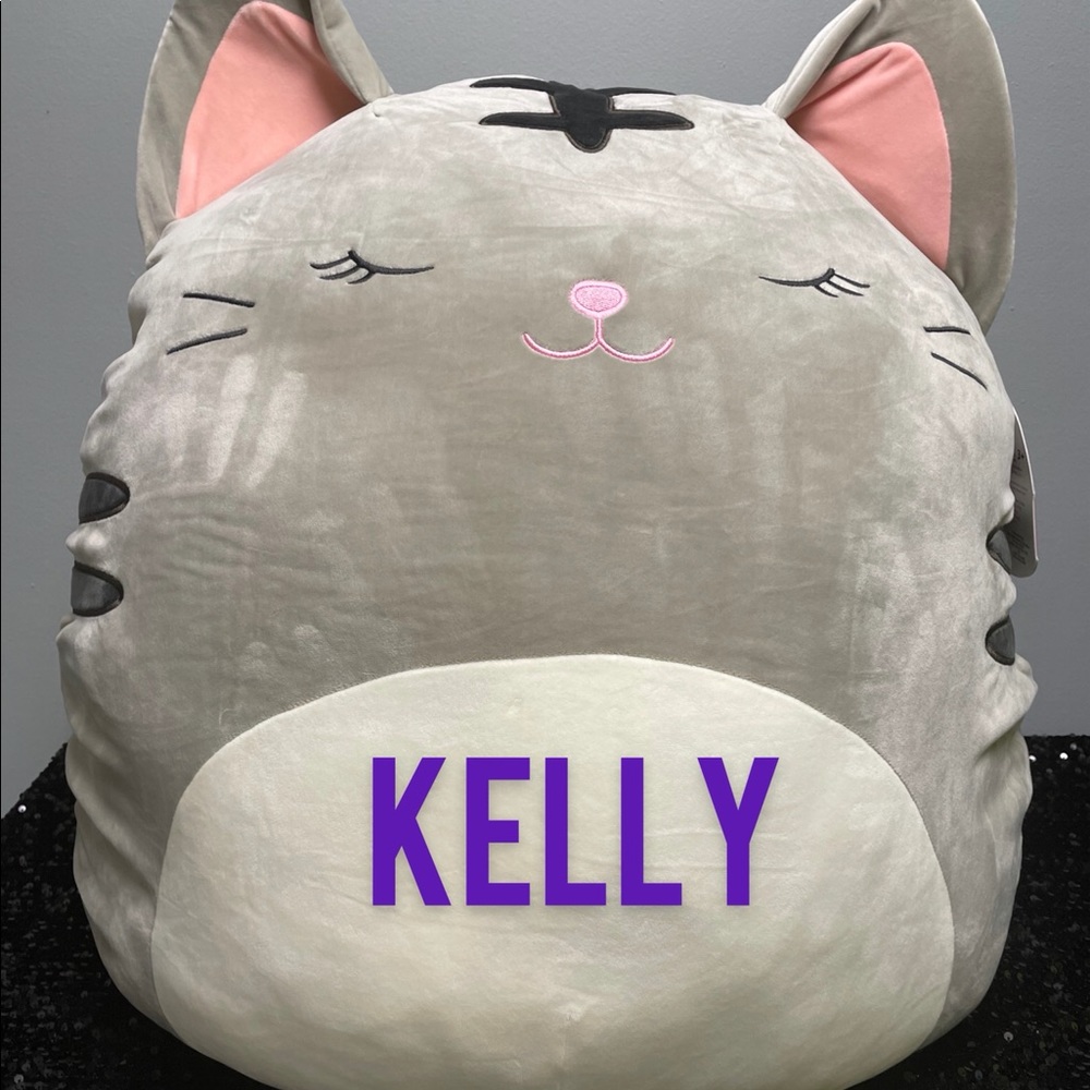 24” Tabby Cat Squishmallow personalize